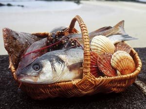 Restaurants de fruits de mer