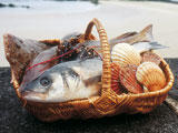 Panier de produits frais