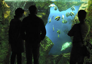 Aquarium Saint Malo