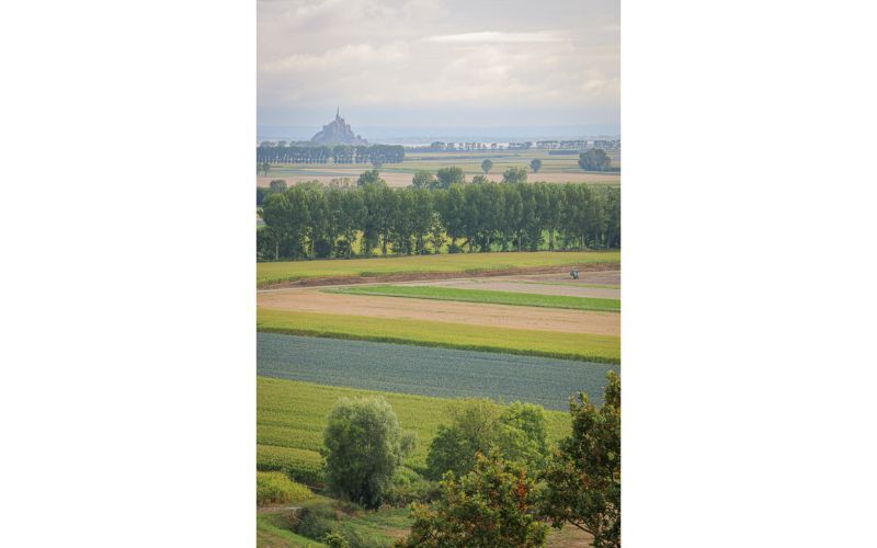 baie-du-mont-st-michel-vue-des-polders-SMBMSM