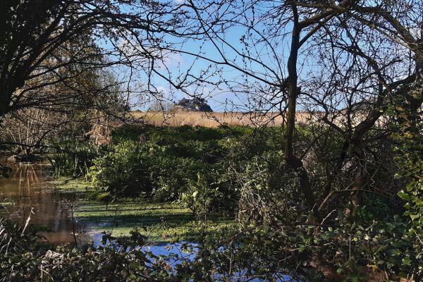 Le-moulin-esnoux-vue-duguesclin-et-marais