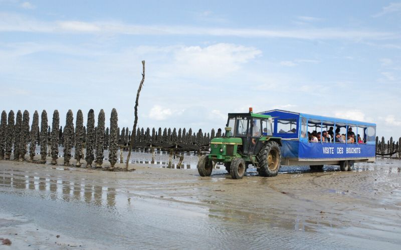 mytiliculture-baie-du-mont-st-michel-SMBPMSM