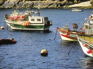 Semaine de pêche