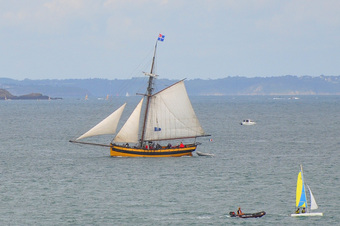 Le Renard Saint-Malo