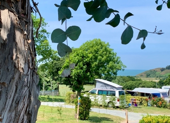 vue-emplacements-camping-et-verdure