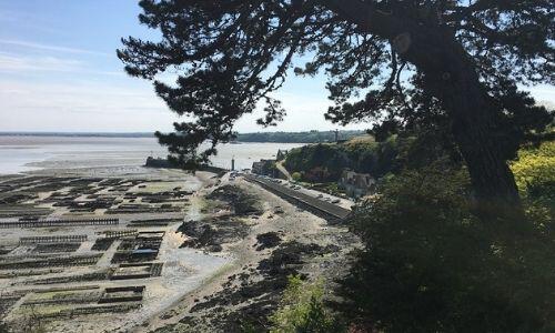 vue-sur-les-parcs-ostreicoles-de-cancale-SMBMSM
